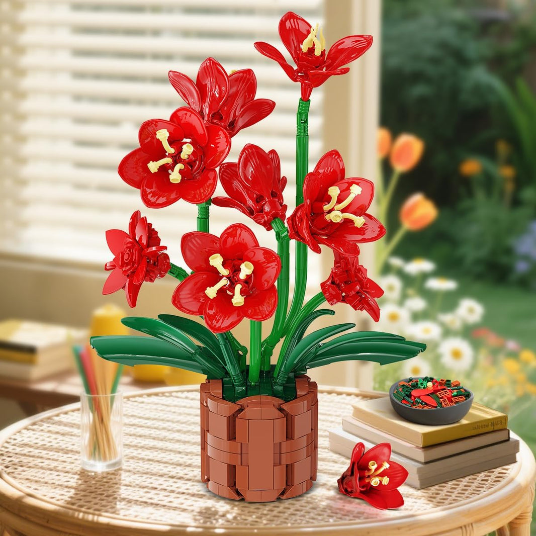 Amaryllis-Blumen-Bonsai-Bauset