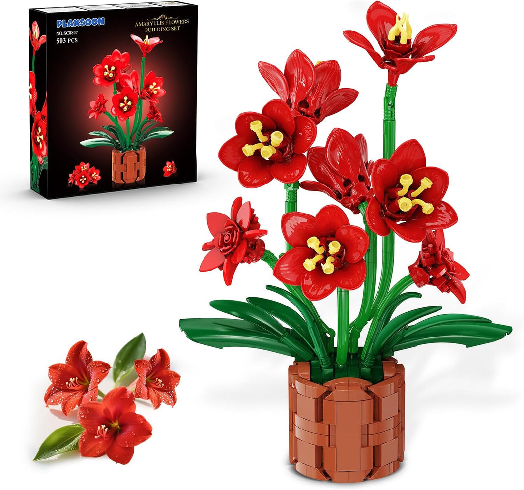 Amaryllis-Blumen-Bonsai-Bauset