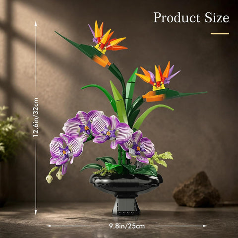 Orchidee Blumen Bauset, Botanische Kollektion mit Strelitzie & Orchidee im Blumentopf