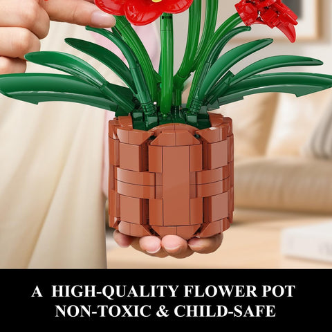 Amaryllis-Blumen-Bonsai-Bauset
