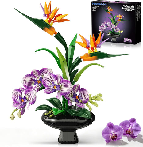 Orchidee Blumen Bauset, Botanische Kollektion mit Strelitzie & Orchidee im Blumentopf