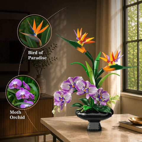Orchidee Blumen Bauset, Botanische Kollektion mit Strelitzie & Orchidee im Blumentopf