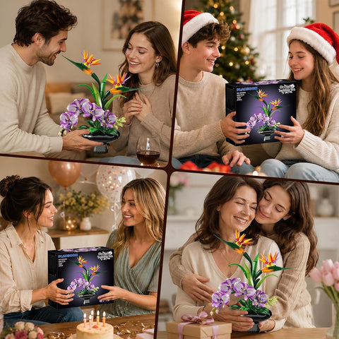Orchidee Blumen Bauset, Botanische Kollektion mit Strelitzie & Orchidee im Blumentopf