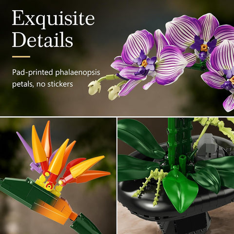 Orchidee Blumen Bauset, Botanische Kollektion mit Strelitzie & Orchidee im Blumentopf