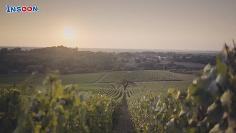Weingut-Château-Bauset mit Beleuchtung