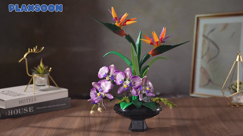 Orchidee Blumen Bauset, Botanische Kollektion mit Strelitzie & Orchidee im Blumentopf